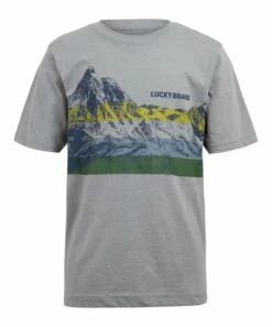 Buy ???? Lucky Brand Gray Heather Scenic Stripe Mountain Logo Tee - Boys For Kids ????