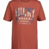 Flash Sale ???? Lucky Brand Burnt Brick Heather Earth Tie-Dye Logo Tee - Boys For Kids ???? 1 Flash Sale ???? Lucky Brand Burnt Brick Heather Earth Tie-Dye Logo Tee - Boys For Kids ???? -Lucky Brand Shop zu108238535 main tm1660655719