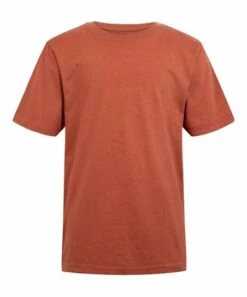 Discount ???? Lucky Brand Burnt Brick Heather Key Solid Tee - Boys For Kids ????