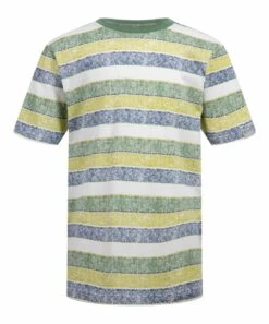 Buy ???? Lucky Brand Earth Green Heather & Blue Cozy Stripe Tee - Boys For Kids ????
