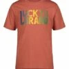 Flash Sale ✔️ Lucky Brand Burnt Brick Heather Logo Tee - Boys For Kids ⭐ -Lucky Brand Shop zu108244610 main tm1660655719